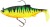 Gumeni Mamac Westin Ricky The Roach Shadtail R2F Sinking 14cm 57gr Firetiger