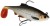 Gumeni Mamac Westin Ricky The Roach ShadTail R2F Sinking