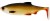 Gumeni Mamac Westin Ricky The Roach SL/ST 18cm 85gr