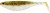 Gumeni Mamac Westin ShadTeez 12cm 15gr Pearl Sand