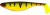 Gumeni Mamac Westin ShadTeez 16cm 39gr
