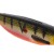 Gumeni Mamac Westin ShadTeez Hollow 8cm 4gr