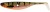 Gumeni Mamac Westin ShadTeez Hollow 8cm 4gr