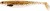 Gumeni Mamac Westin ShadTeez Slim 12cm 10gr Brown Abalone