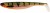 Gumeni Mamac Westin ShadTeez Slim 14cm 17gr