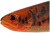 Gumeni Mamac Westin ShadTeez Slim 18cm 33gr