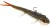 Gumeni Mamac Westin Twinteez Pelagic V-Tail R'N'R 21cm 70gr