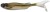 Gumová Nástraha Berkley AT Minnow 25cm 106g Gold Shad