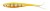 Gumová Nástraha Berkley Urbn Hollow Belly V-Tail 7,5cm Yellow Tiger Gumová Nástraha Berkley Urbn Hollow Belly V-Tail 7,5cm Yellow Tiger