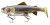 Gumová Nástraha Daiwa PX Live Trout DuckFin Swimbait 18cm 90gr Live Ayu