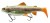 Gumová Nástraha Daiwa PX Live Trout DuckFin Swimbait 18cm 90gr Live Rainbow Trout