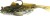Gumová Nástraha Gunnar The Goby R2F Sinking 8cm #1/0 12gr Spotted Goby