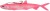 Gumová Nástraha Madcat Pelagic Cat Lure 21cm 75gr Sinking Fluo Pink UV