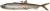 Gumová Nástraha Madcat Pelagic Cat Lure 21cm 75gr Sinking Smelt
