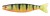 Gumová Nástraha Rage Pro Shad Jointed 14cm UV Perch Gumová Nástraha Rage Pro Shad Jointed 14cm UV Perch