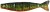 Gumová Nástraha Rage Pro Shad Jointed 23cm UV Pike