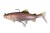 Gumová Nástraha Rage Realistic Replicant Trout 10cm 20gr Rainbow Trout