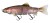 Gumová Nástraha Rage Replicant Realistic Trout 23cm 158gr Supernatural Rainbow Trout
