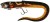 Gumová Nástraha Rage Slick Eel Loaded 28cm Velikost 1/0 Burbot