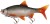 Gumová Nástraha Rage Ultra Natural Roach Replicant 28cm