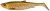 Gumová Nástraha Savage Gear 3D Herring Shad V2 13cm 17g Clear Rudd