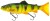 Gumová Nástraha Savage Gear 3D Line Thru Trout 20cm 98g Firetiger