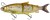 Gumová Nástraha Savage Gear 3D LT Whitefish 27cm 217g Brown Chartreuse