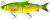 Gumová Nástraha Savage Gear 3D LT Whitefish 27cm 217g Fire Whitefish