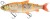 Gumová Nástraha Savage Gear 3D LT Whitefish 27cm 217g Golden Albino