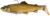 Gumová Nástraha Savage Gear 3D Trout Shad 20,5cm 135g Bream