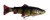 Gumová Nástraha Savage Gear 4D Line Thru Pulsetail Trout SS 16cm 51gr Perch