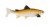Gumová Nástraha Uni Cat Trout 15cm BT