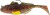 Gumová Nástraha Westin Gunnar The Goby R2F Sinking 8cm #1/0 12gr Appleseed