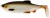 Gumová nástraha Westin Ricky The Roach Shadtail 14cm 42g Lively Roach