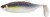 Gumová nástraha Westin Ricky The Roach Shadtail 7cm 6g Preyfish