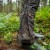 Hlače Nash Zero Tolerance Helluva Waterproof Bib and Brace Camo