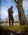 Hoodica Fox LW Khaki/Camo Split Zip Hoody