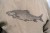 Hoodica Korum Classic Barbel Hoodie