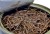 Hrana LK Baits Pet Natur Canned