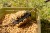 Hranilica Korum Double Method Feeder