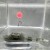 Hranilica Method Feeder Fans Rig Control