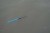 Igla Preston Floater Disgorger/Baiting Needle