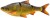 Imitácia Plotice Savage Gear 3D Line Thru Roach 25cm 206g SS Clear Rudd