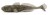 Imitacija peša Iron Claw Gobody 11cm