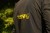 Jakna Black Cat Waterproof Smock