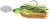 Jig glava Berkley DEX Disruptor TG 21g Firetiger