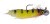 Jig glava DK FISHING Flashjig YRP Veličina 1/0 6gr
