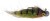 Jigova glava DK FISHING Flashjig GP Veličina 1/0 6gr