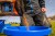 Kanta Preston 13L Bucket Set