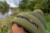 Kapa Korum Thermal Beanie Hat Black/Olive